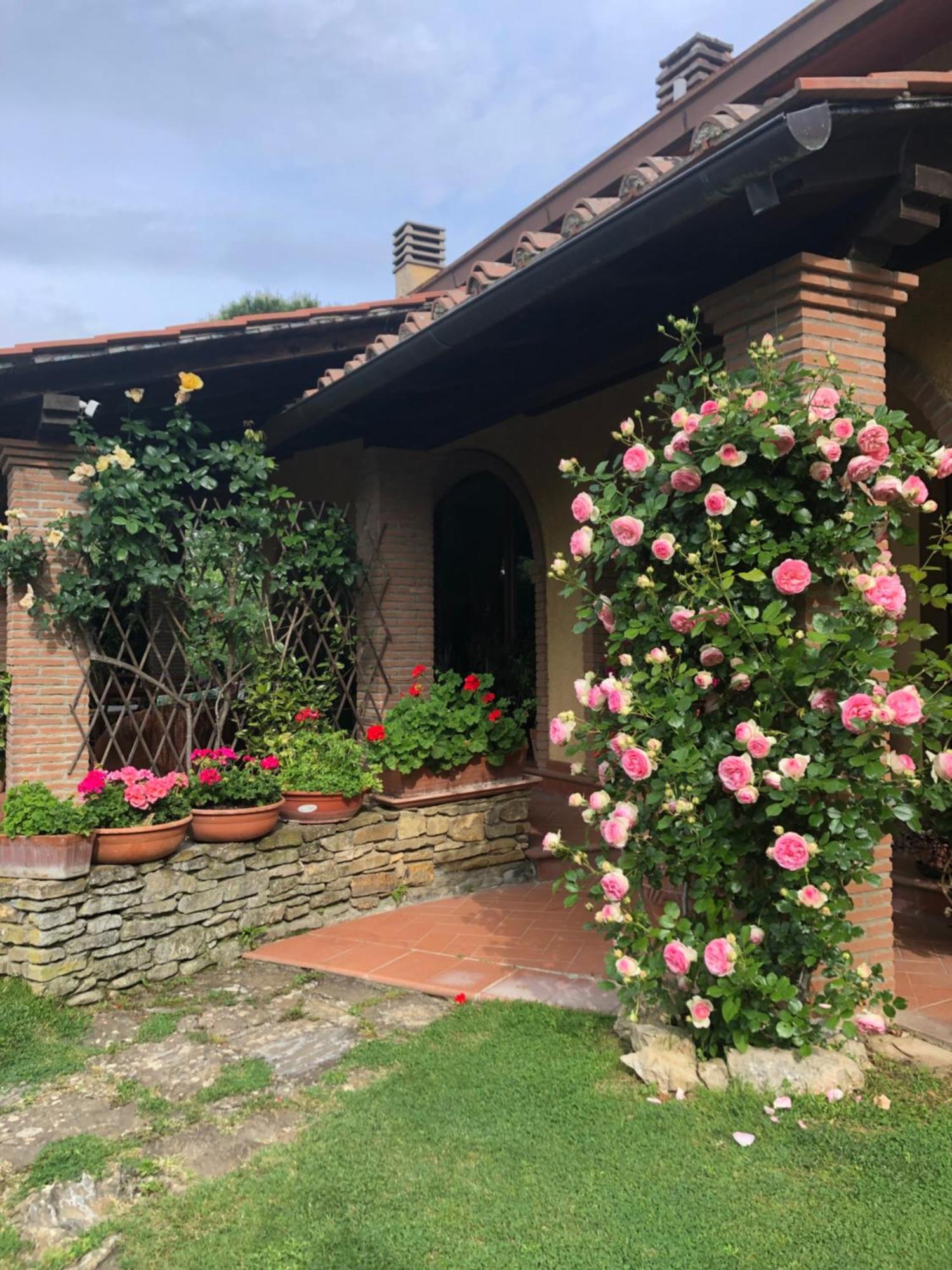 Villaspino Capolona Exterior foto